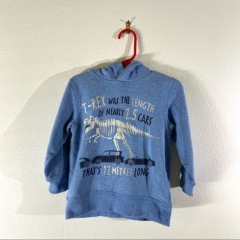 H&M Kids Blue Dinosaurs Hoodie. Size 2-4Y.